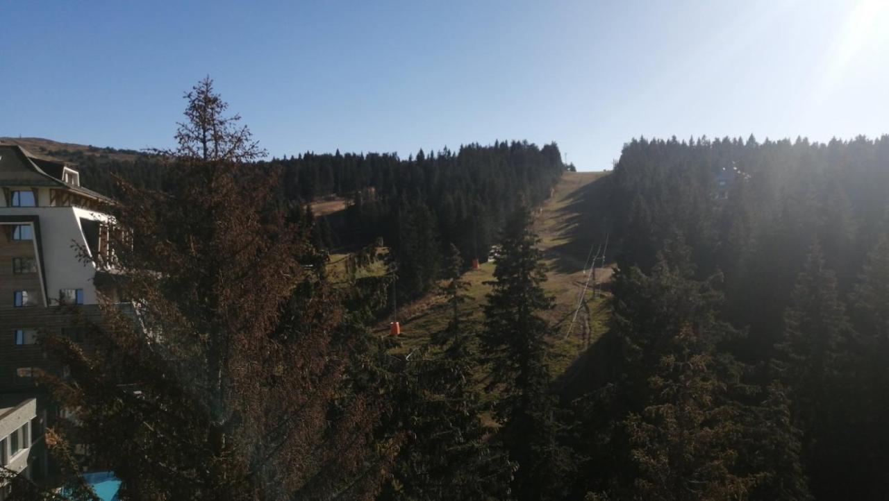 Woodside Apartments Kopaonik Eksteriør bilde